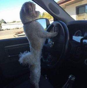 Meet your Posher, Jody